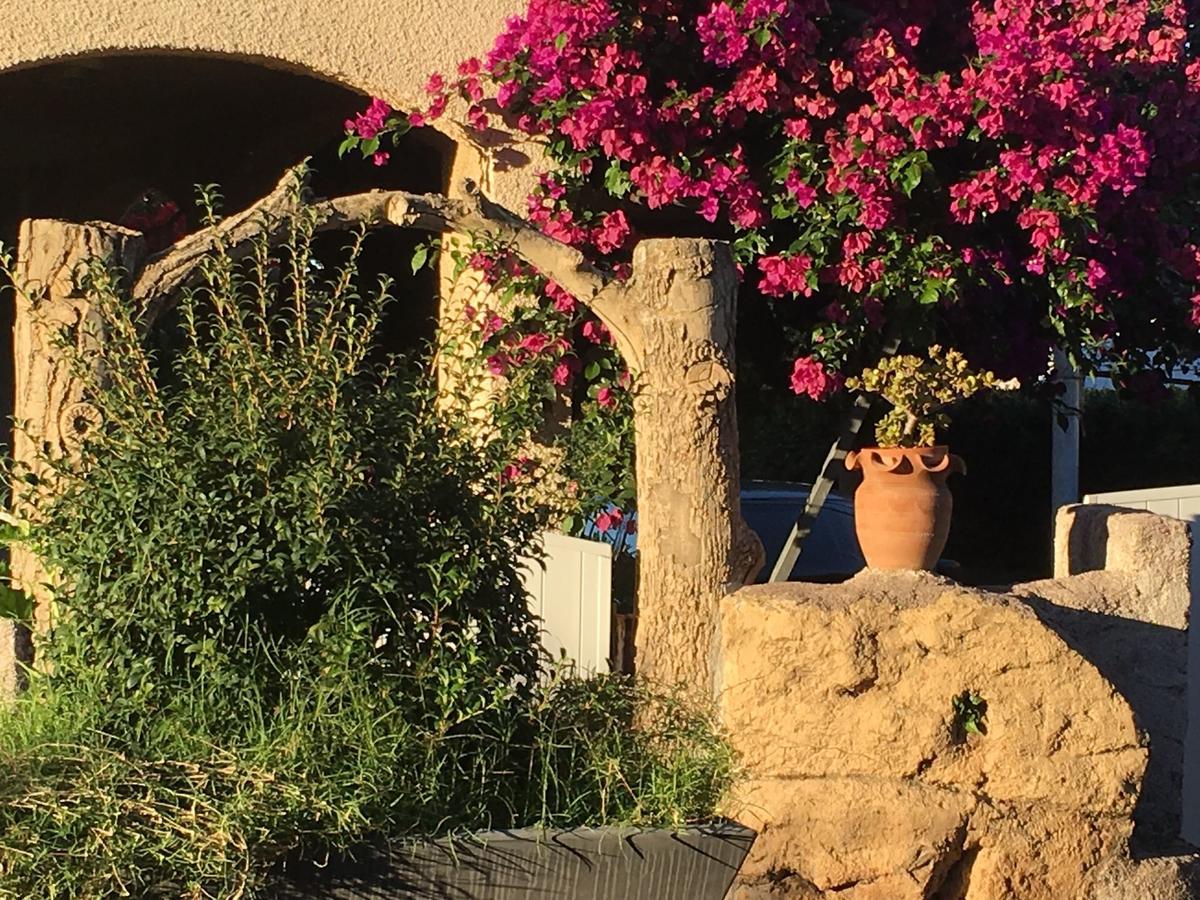 Exquisite Apartment In Cervionewith Swimming Pool San-Nicolao Eksteriør bilde
